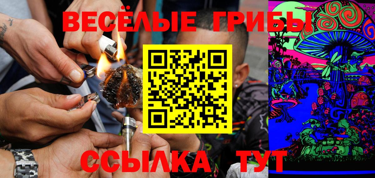 Псилоцибиновые грибы мицелий Дзержинск